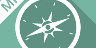 e-Learning Team Development and Leadership