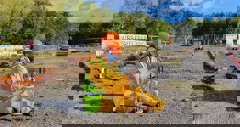 Charlotte Crowson's ConStructEd Programme Experience