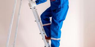 Ladders and Stepladders for Managers - VIRTUAL